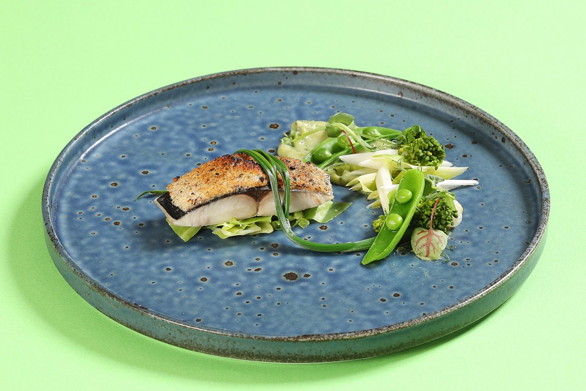 魚料理メイン